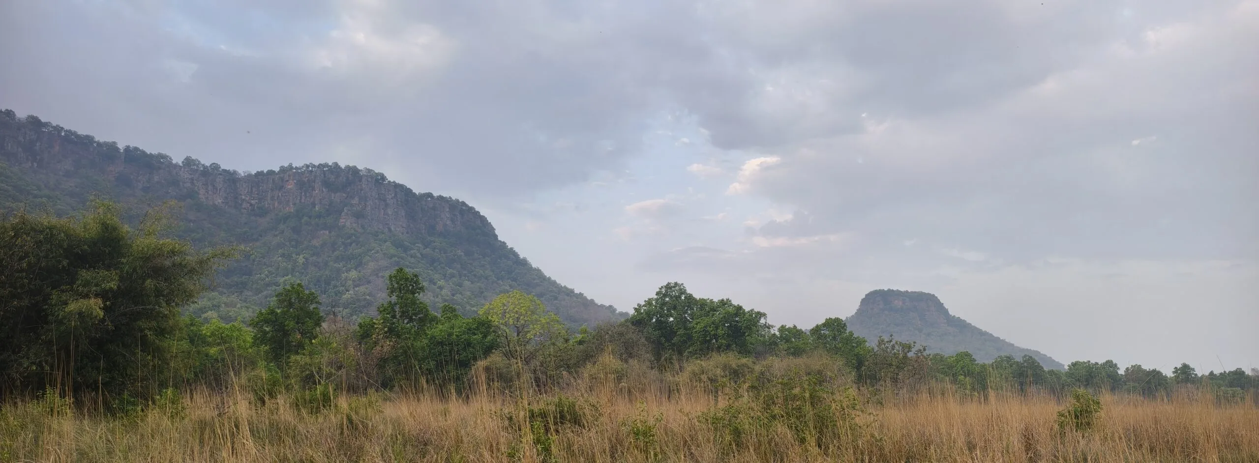 Bandhavgarh NP landscape