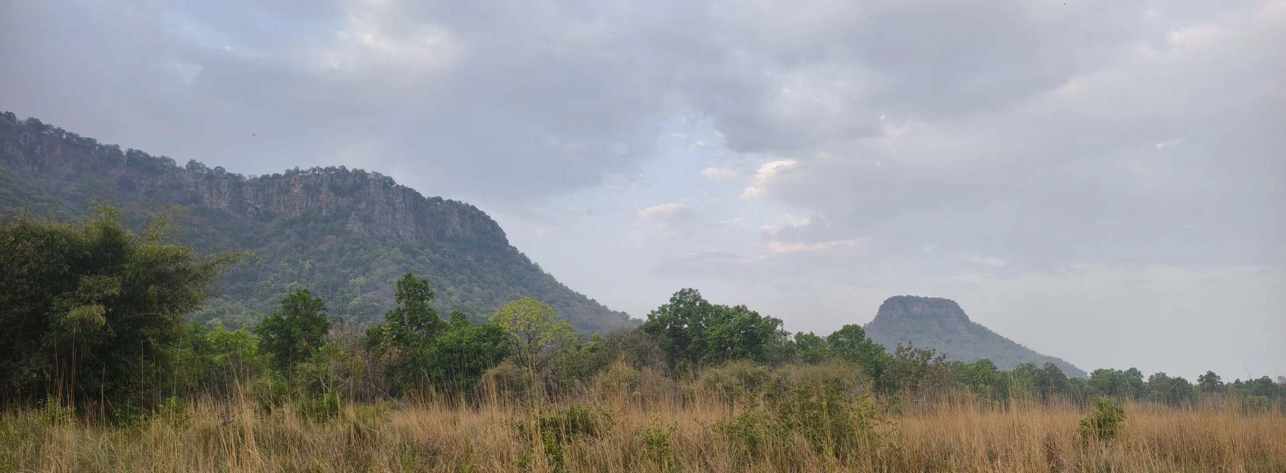 TravelOnTales — wildlife and bird photography blog, Bandhavgarh National Park India