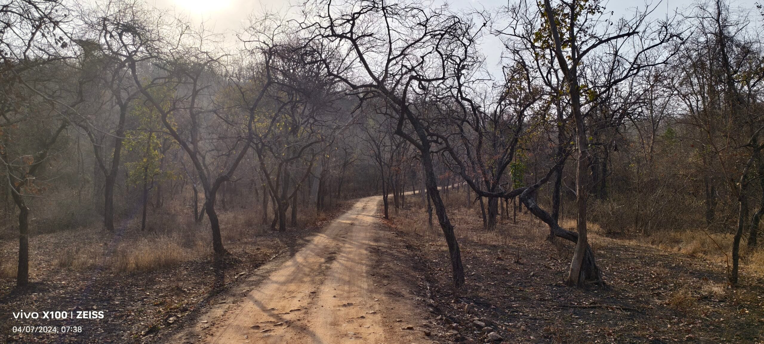 Scenic India landscape wildlife travel — Scenic Travels TravelOnTales