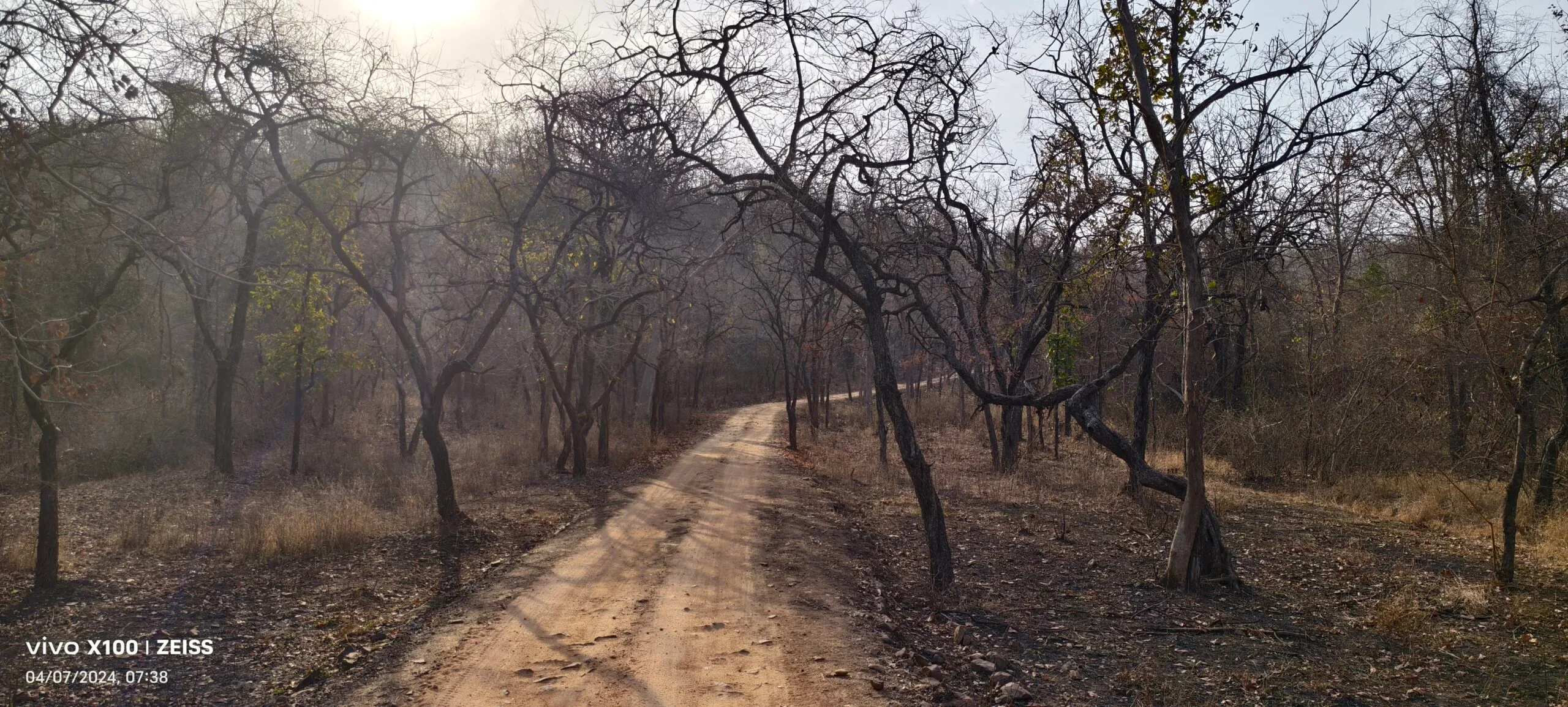 Scenic India landscape wildlife travel — Scenic Travels TravelOnTales