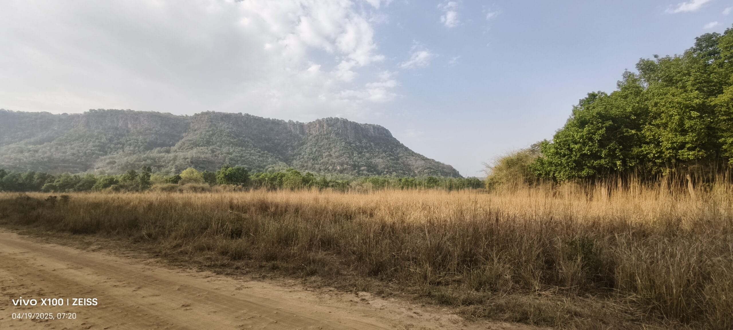 Bandhavgarh safari jeep track early morning light — Jungle Royalty TravelOnTales