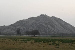 Beyond Leopards: The Wetlands, Crocodiles, and Birdlife of Jawai Bandh