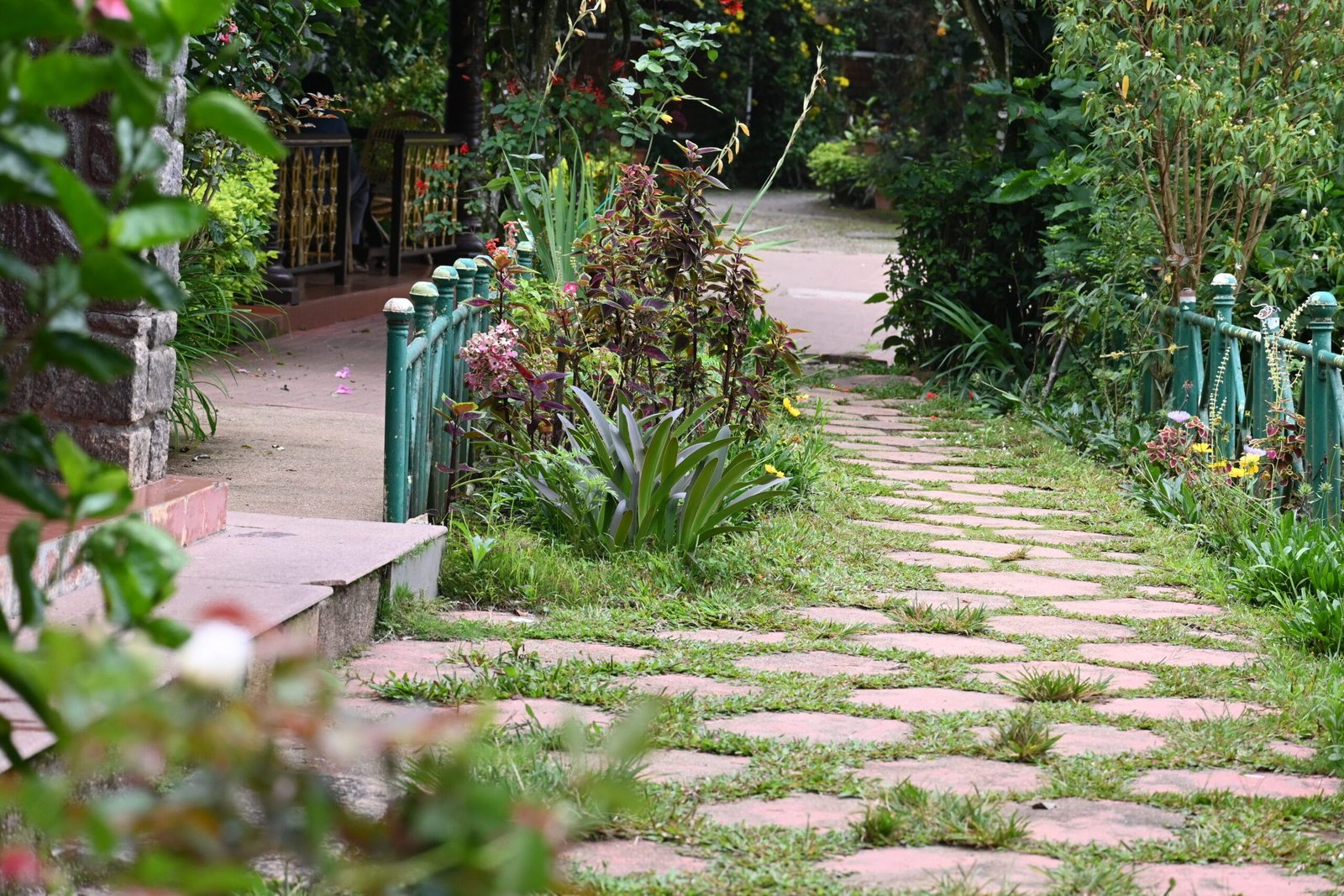 Brick pathway through flowering garden Oliver Brook hotel Munnar Kerala