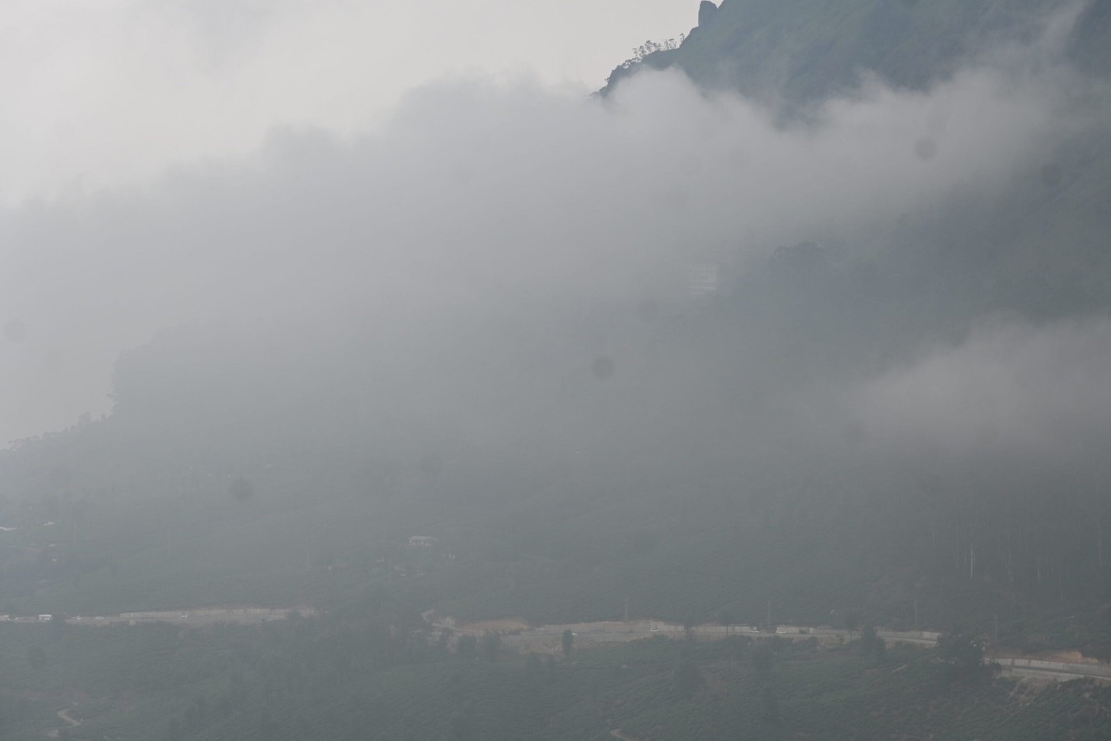 Thick fog covering Munnar hills and valley Kerala