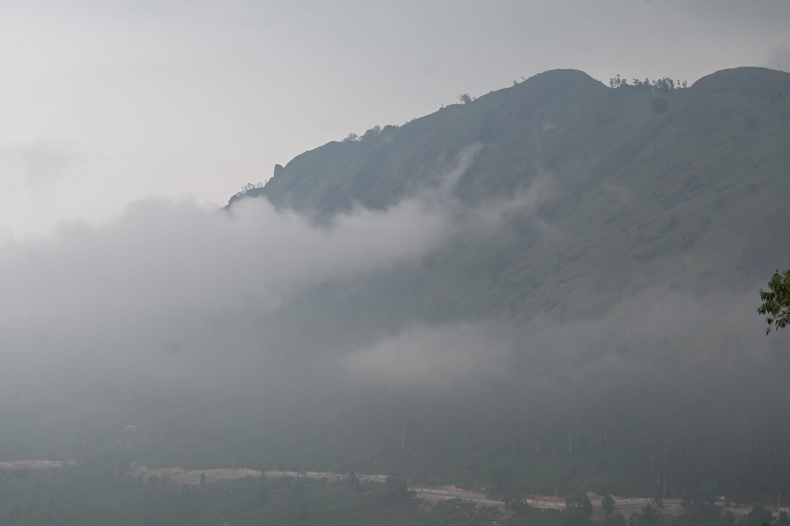 Fog and clouds over Munnar valley morning view Kerala