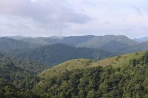 Birds We Photographed in Munnar, Thekkady & Alleppey