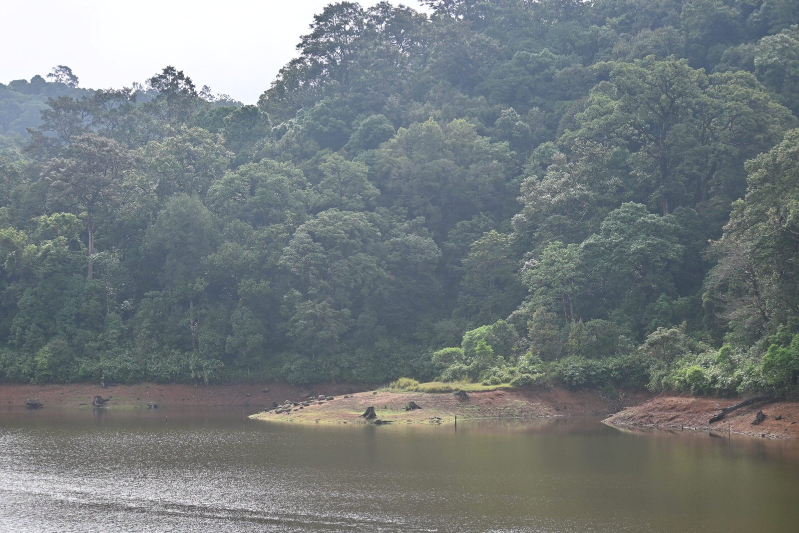 Dense forest road Gavi bus safari Periyar Kerala