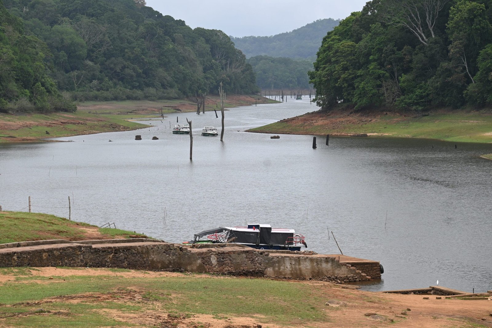 Safari boats moored Periyar lake dead tree stumps Thekkady Kerala