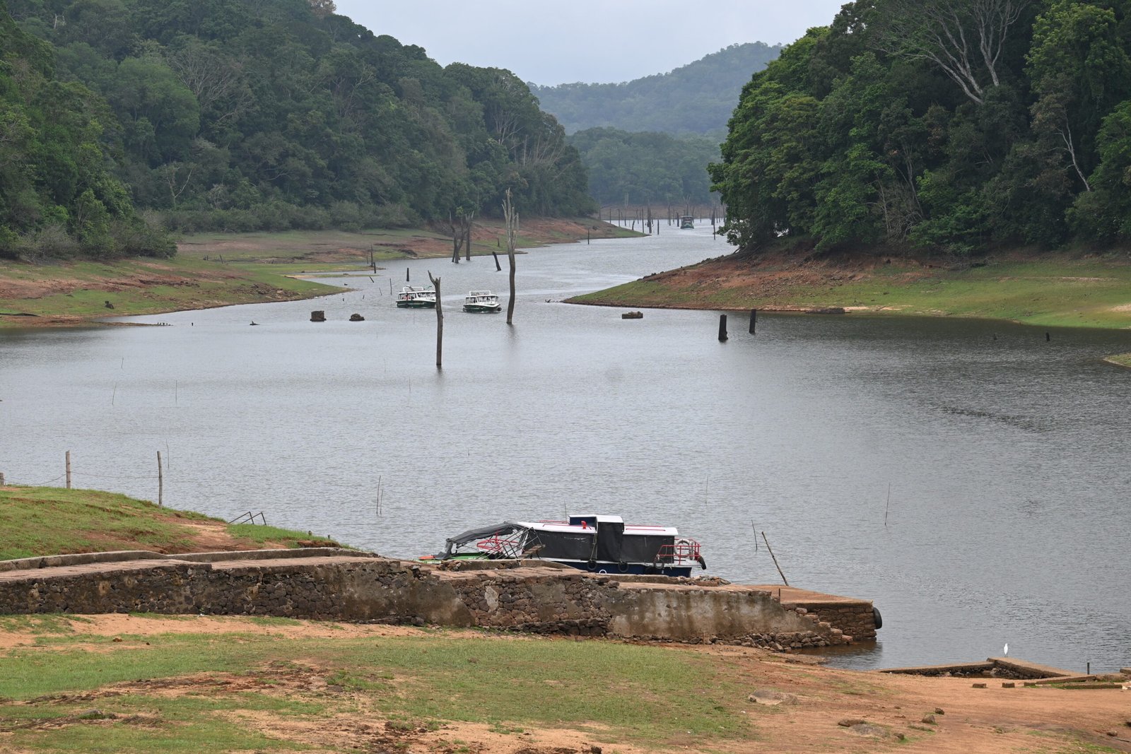 Safari boats moored Periyar lake dead tree stumps Thekkady Kerala