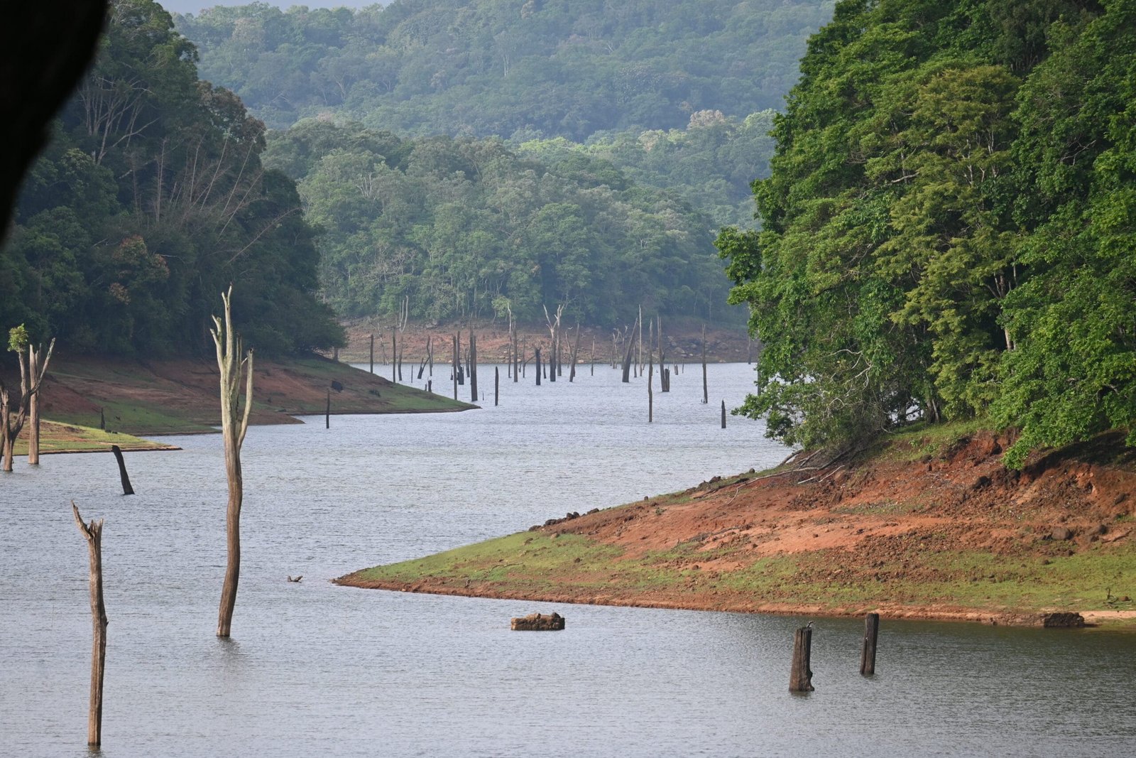 Scenic panoramic view Periyar lake dead trees forested hills Kerala