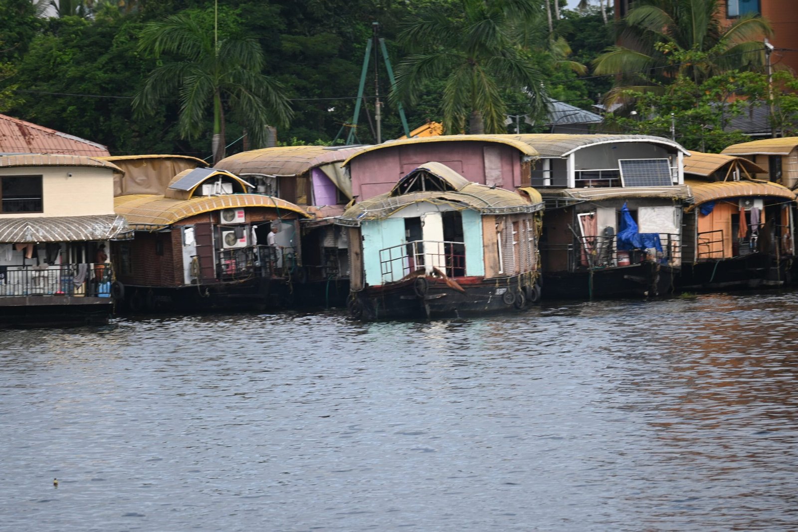 Colourful houseboats moored Alleppey backwaters Kerala