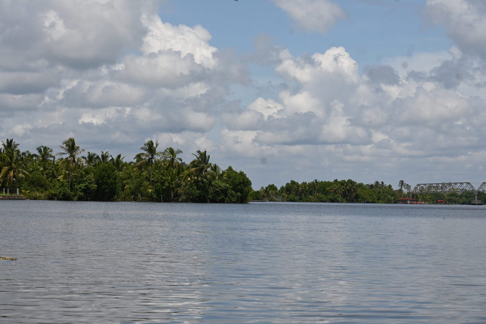 Wide Alleppey backwater coconut palms railway bridge Kerala