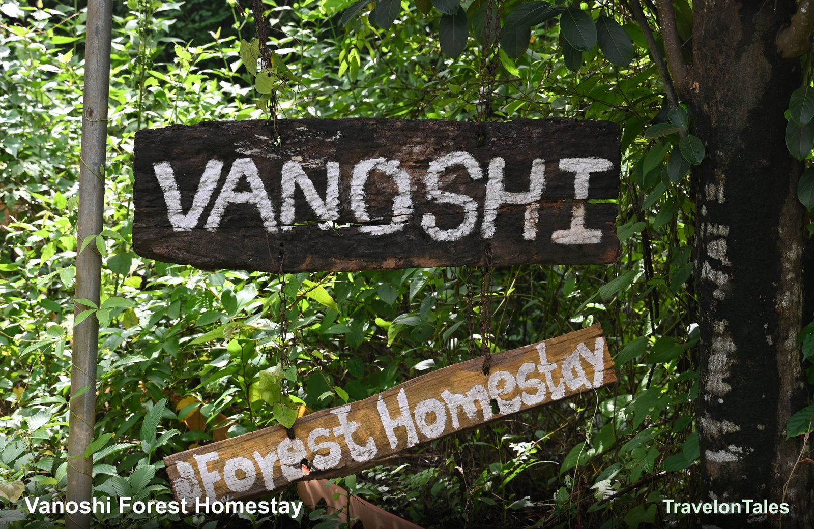 Vanoshi Forest Homestay wooden sign