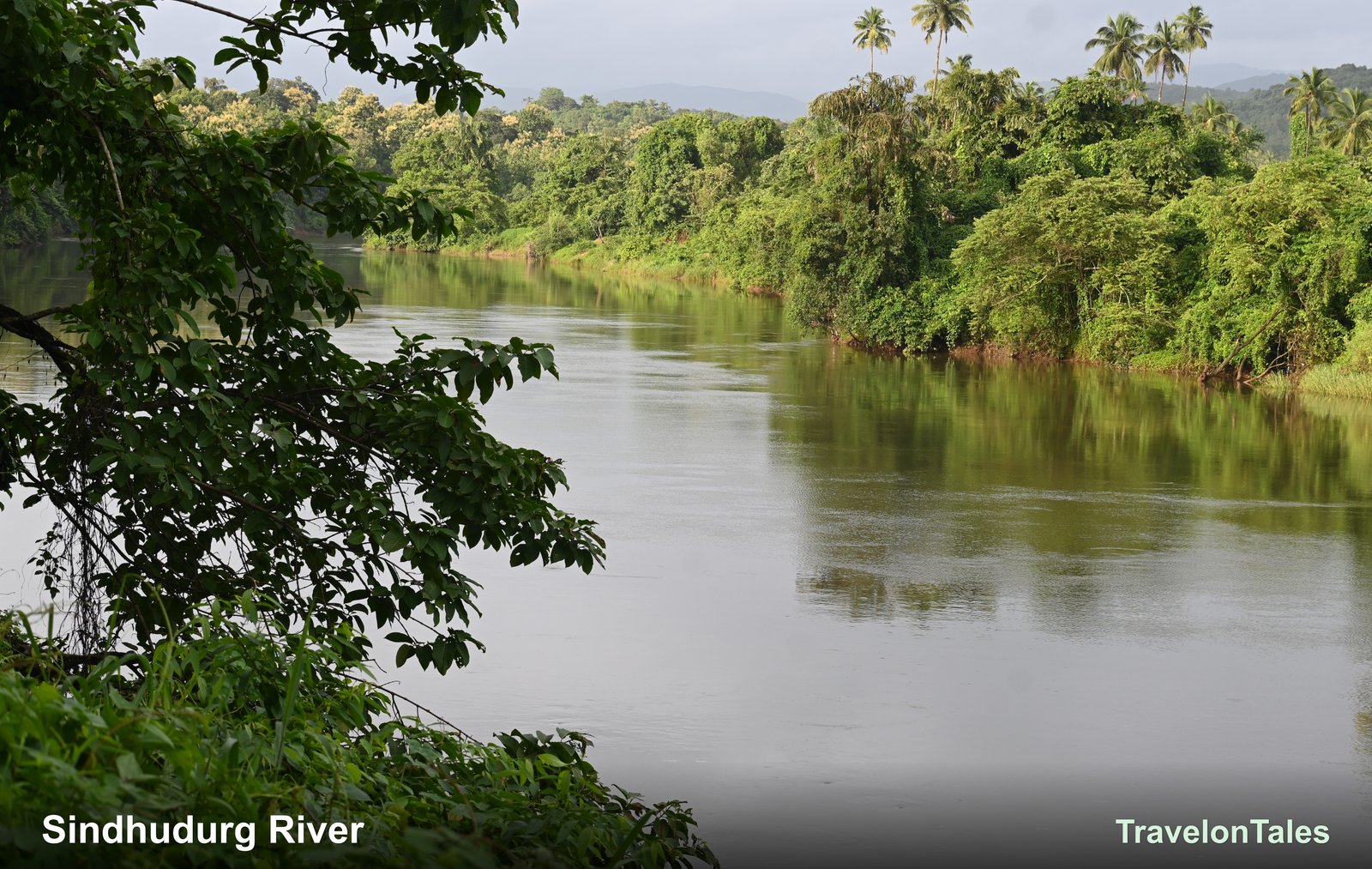 Sindhudurg river during monsoon with palm trees