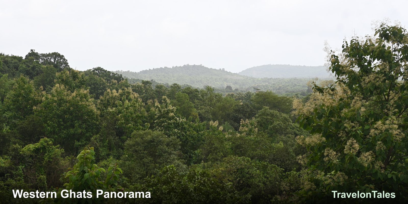 Western Ghats hills panorama