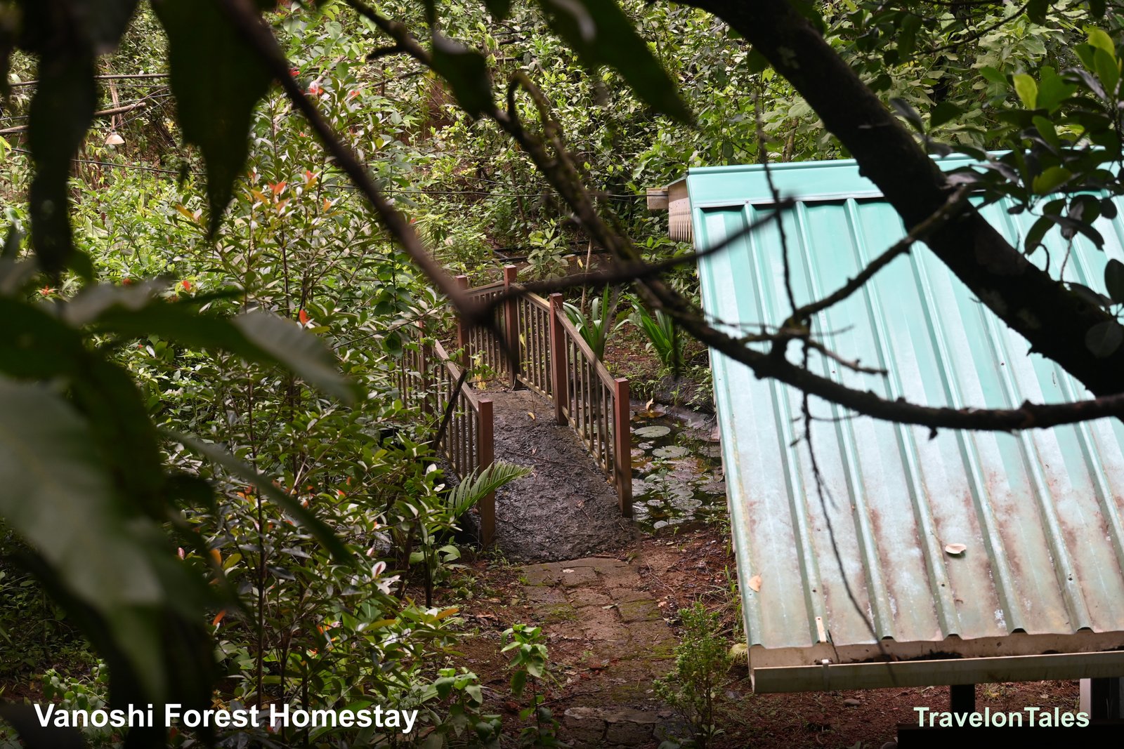 Pathway at Vanoshi Forest Homestay