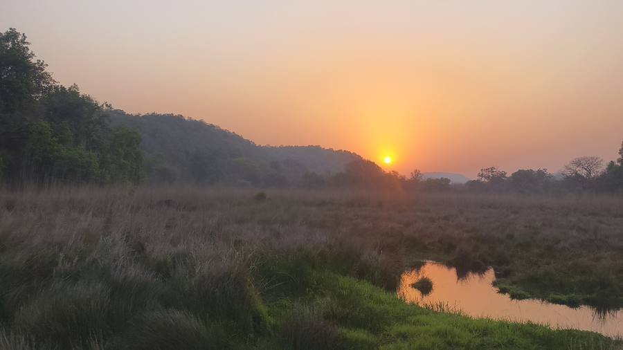 Sunrise over Bandhavgarh National Park meadow Tala zone — best time for tiger safari morning golden hour