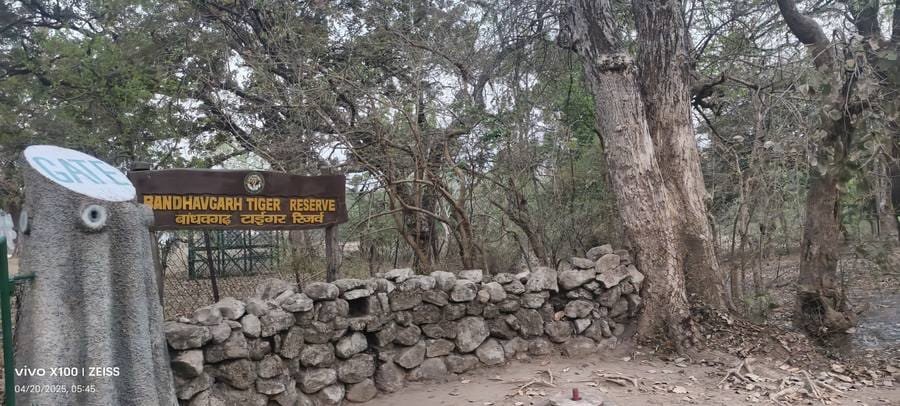 The Tala Gate entrance to Bandhavgarh Tiger Reserve