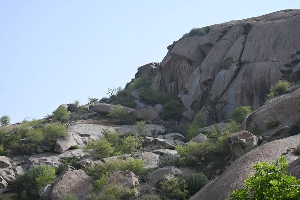 Granite boulders and green scrub on a hillside in Jawai Bandh