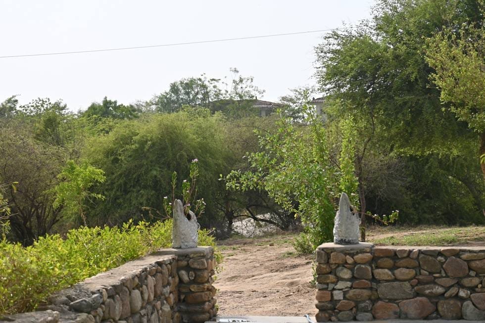 Green garden and stone wall at the entrance of Jawai Manohar Vilas