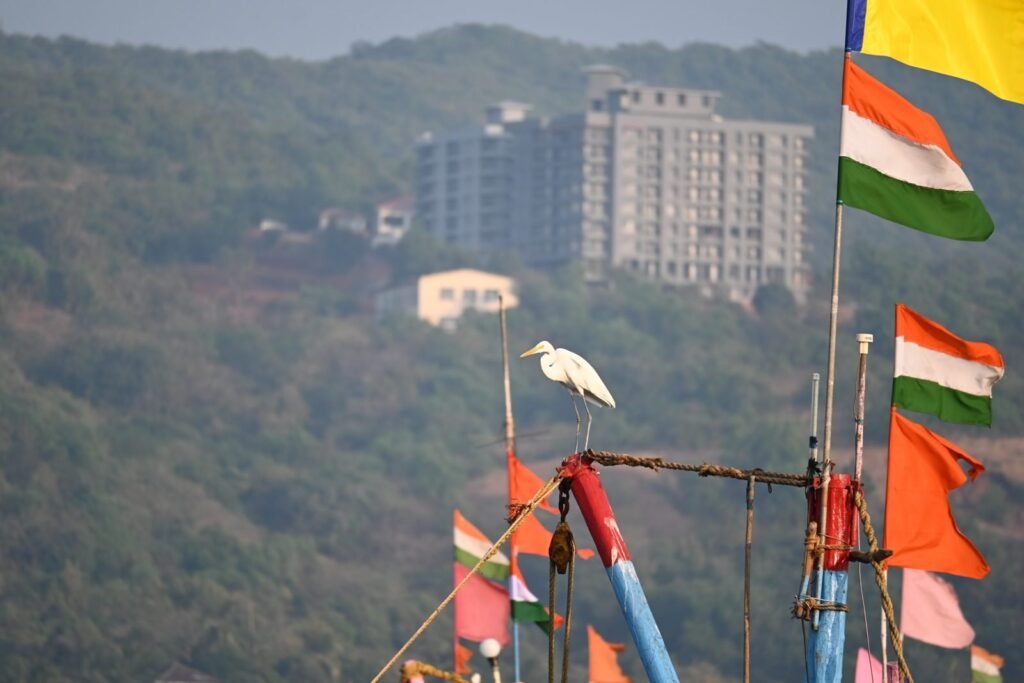 An egret resting among the flags of the fishing boats, Dapoli