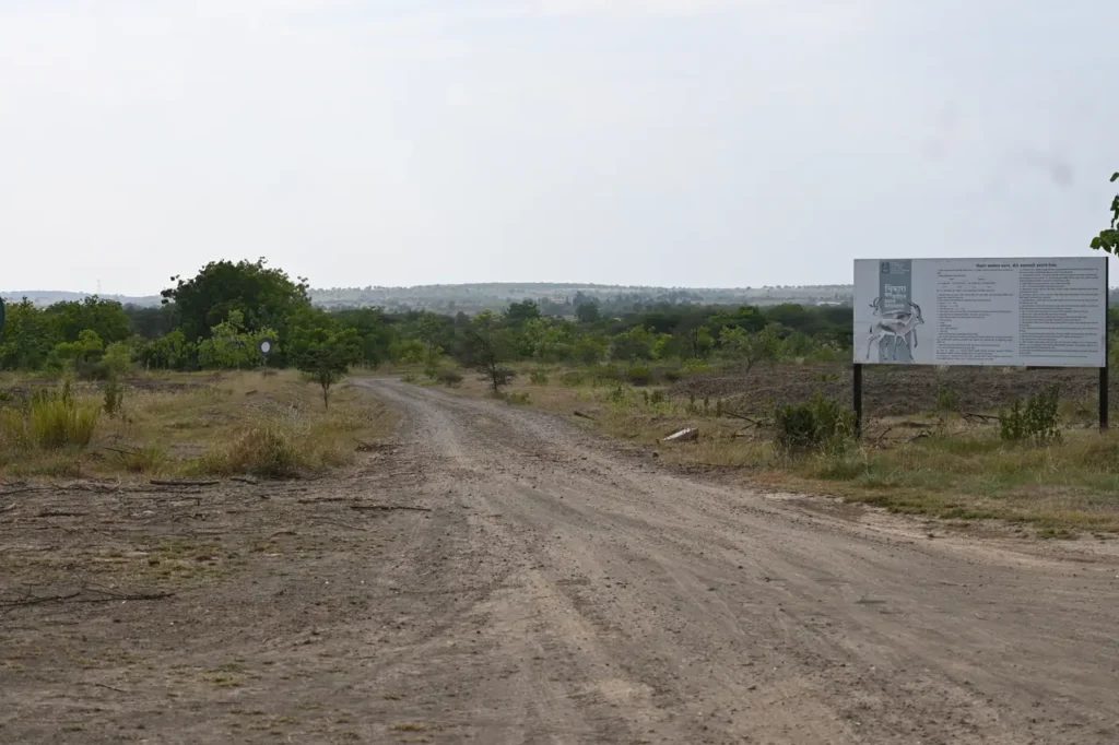 A dirt track leading into scrubland with a forest department board beside it