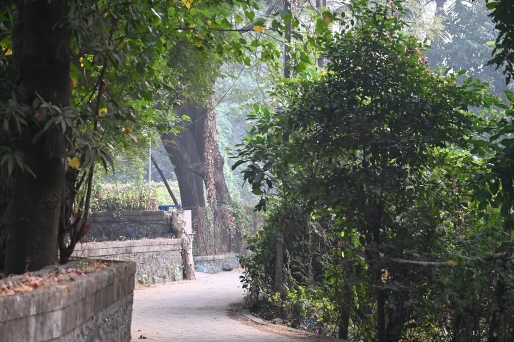 A shaded lane near Kihim Beach, Alibaug
