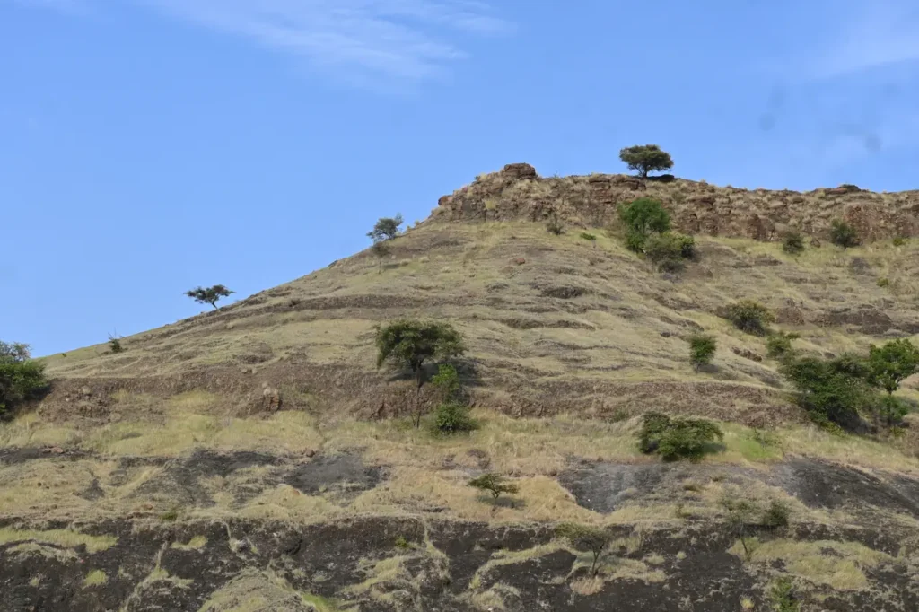 A rocky hill with scattered trees against a blue sky near Bhigwan