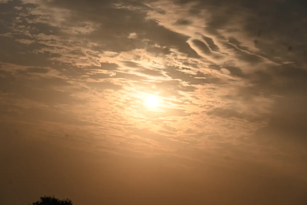 The sun rising through cloud over the grasslands near Bhigwan